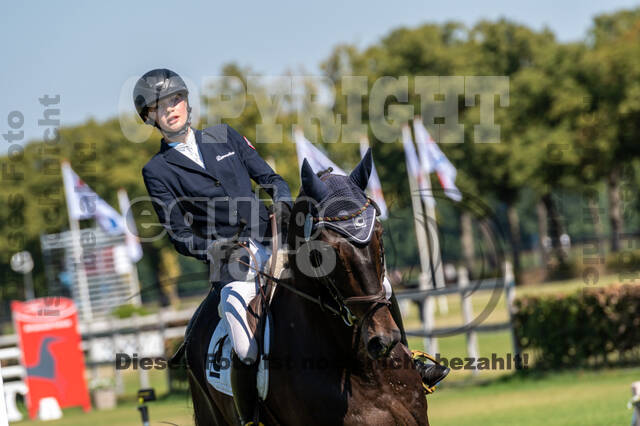 Kronenberg - De Peelbergen (August 2020)