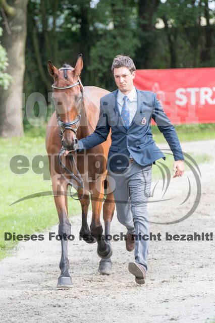 FEI European Championship Eventing 2017