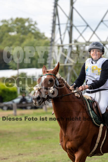 Vielseitigkeit RSV Wesel Obrighoven (26.+27.09.2020)