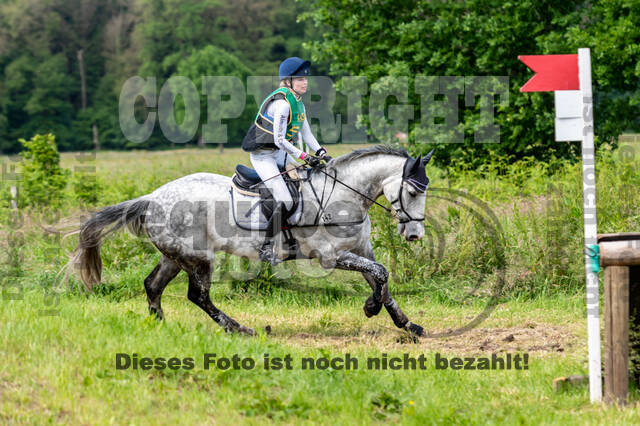 Westerstede Horse Trials (10.-13.06.2021)