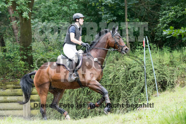 RFV Bad Honnef