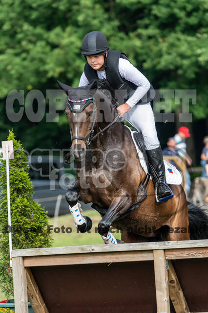 Goldene Schärpe 2021 - Ponys