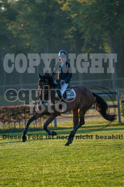 De Peelbergen (August 2020)