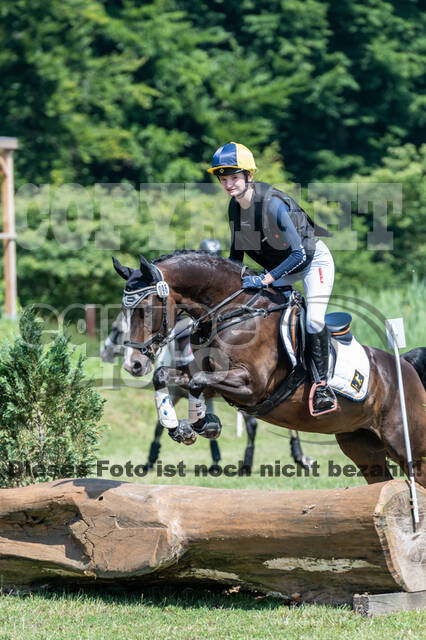 Goldene Schärpe 2021 - Ponys