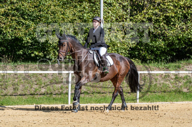 RFV Dinslaken-Hiesfeld (Herbstturnier)