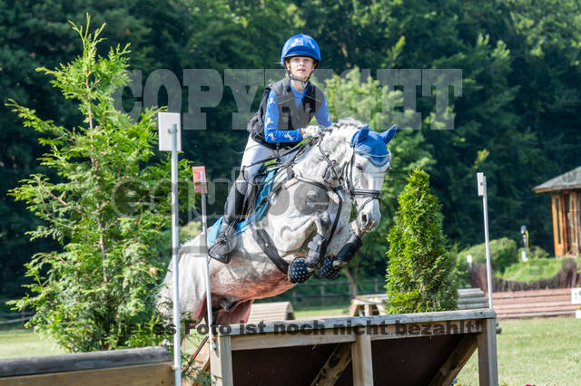 Goldene Schärpe 2021 - Ponys