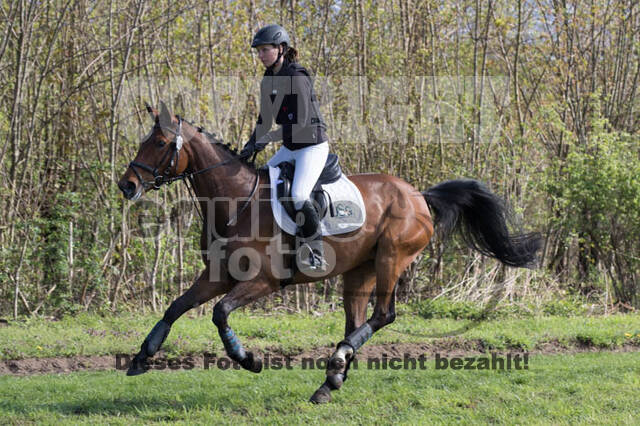 Vielseitigkeitsturnier RV Lippe-Bruch-Gahlen