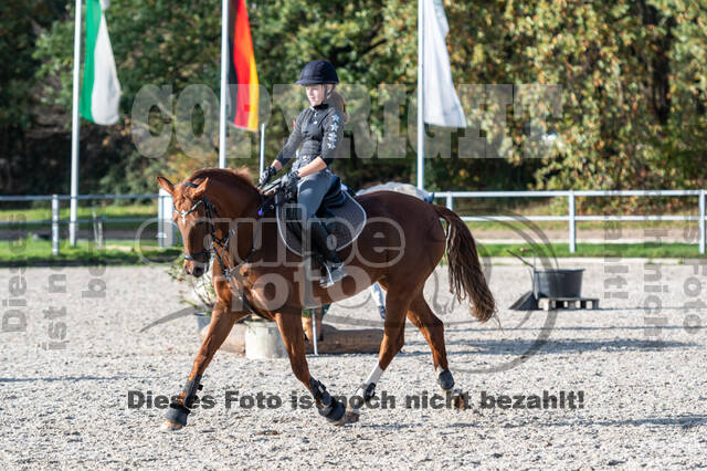 IGV Lehrgang der Sieger der Cups mit Frank Ostholt