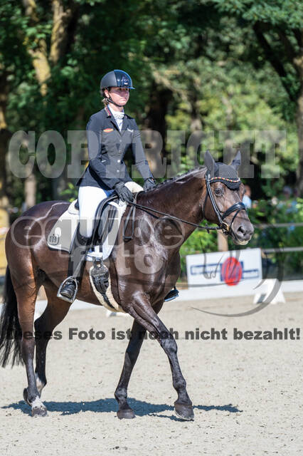 Kronenberg - De Peelbergen (August 2020)