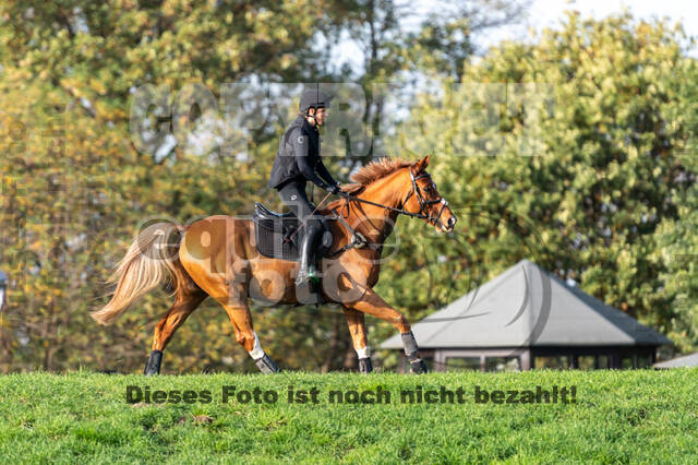 IGV Lehrgang der Sieger der Cups mit Frank Ostholt