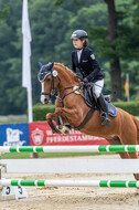 Goldene Schärpe 2021 - Ponys