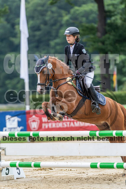 Goldene Schärpe 2021 - Ponys