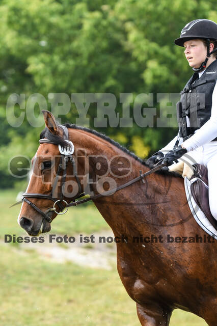 Late-Entry-Vielseitigkeit Langenfeld (11.+13./14.06.2020)