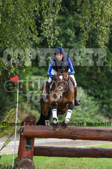 Late-Entry-Vielseitigkeit Langenfeld (11.+13./14.06.2020)