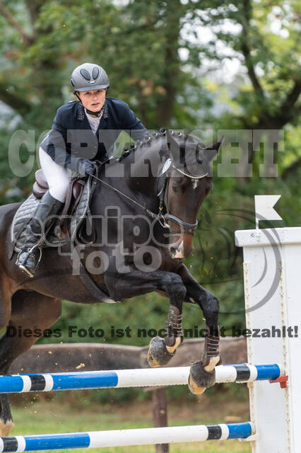 Vielseitigkeit RSV Wesel Obrighoven (26.+27.09.2020)