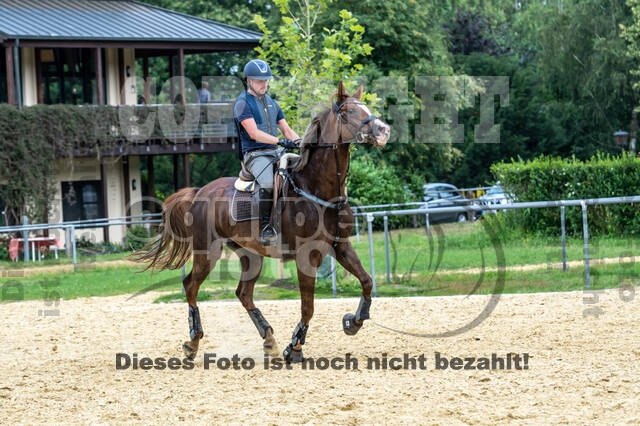 Hunter Geländetraining 10.07.2021 (Sonsbeck)