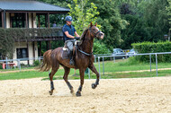 Hunter Geländetraining 10.07.2021 (Sonsbeck)