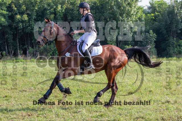 Late-Entry-Vielseitigkeit Gahlen (18.07.2020)