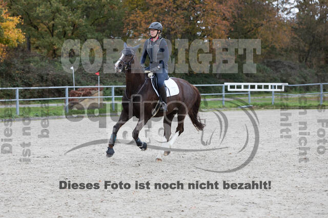 IGV Lehrgang der Sieger der Cups mit Frank Ostholt