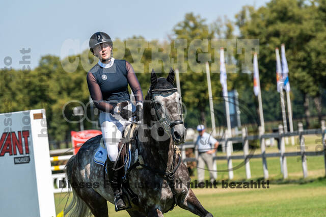 Kronenberg - De Peelbergen (August 2020)