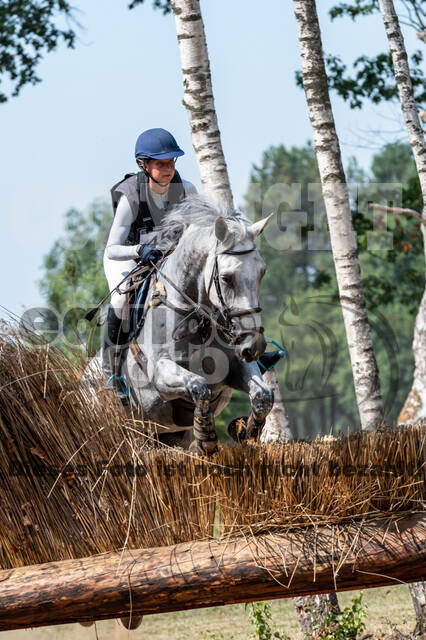 De Peelbergen (August 2020)