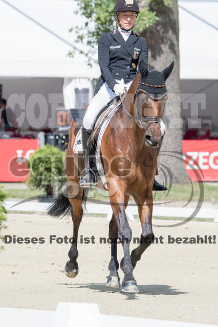 FEI European Championship Eventing 2017