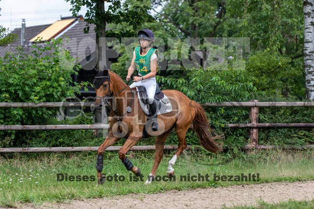 Late-Entry-Vielseitigkeit Gahlen (18.07.2020)