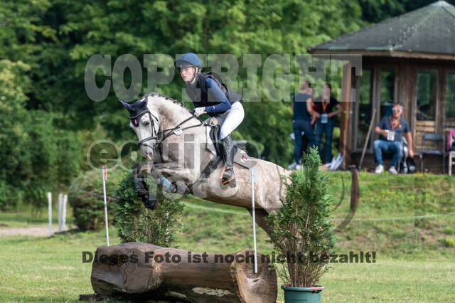 Goldene Schärpe 2021 - Ponys