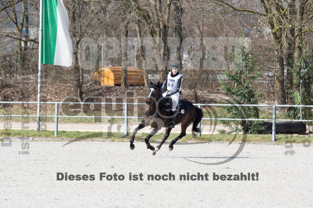 Eventing Langenfeld 2018