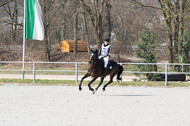 Eventing Langenfeld 2018
