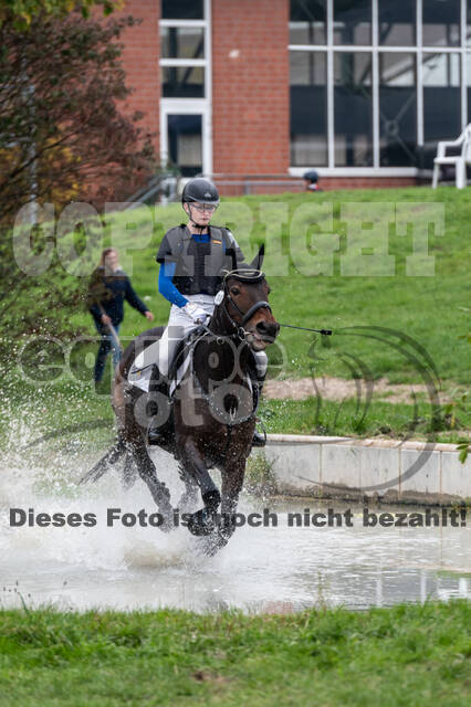 Goldene Schärpe 2020 - Pferde
