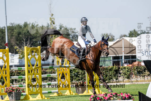 Kronenberg - De Peelbergen (August 2020)