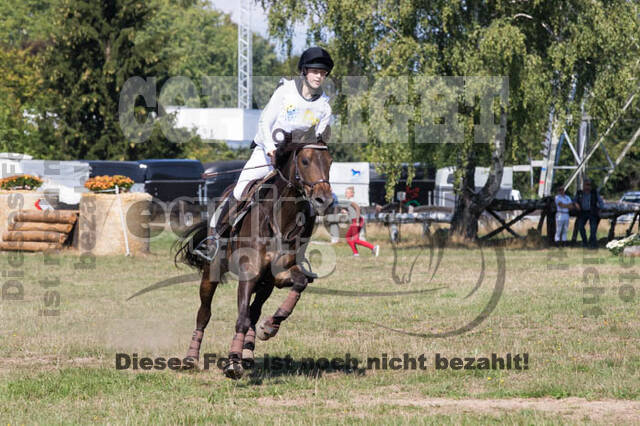 Vielseitigkeitsturnier RSV St. Hubertus Wesel Obrighoven