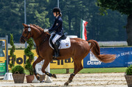 Goldene Schärpe 2021 - Ponys