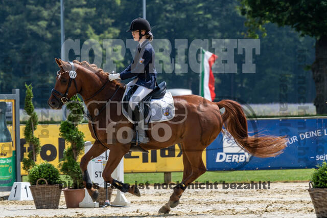 Goldene Schärpe 2021 - Ponys