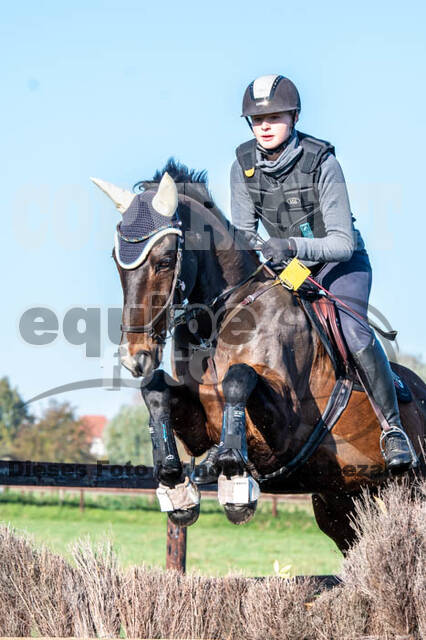 Vielseitigkeitslehrgang mit Jürg Kurbel (9.+10.11.2019)