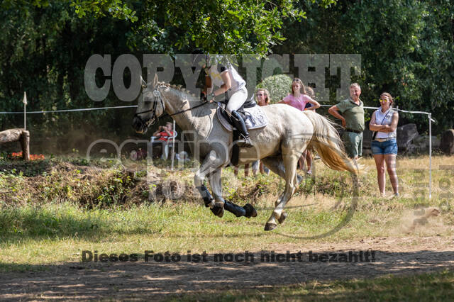 Late-Entry Vielseitigkeit Hamminkeln/Wesel (01.+02.08.2020)
