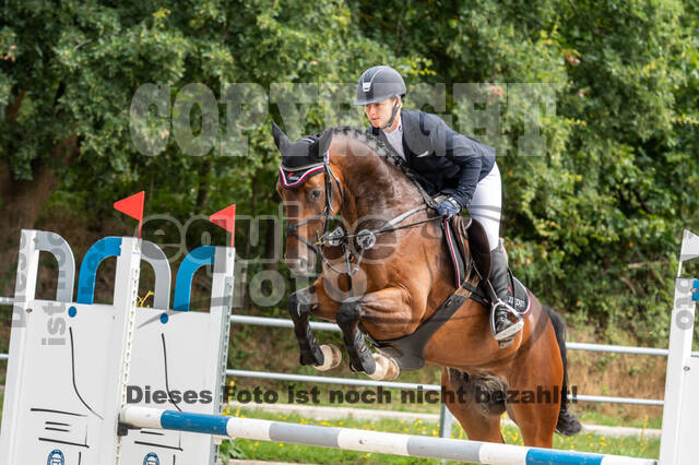 Late-Entry-Vielseitigkeit Langenfeld (06.+07.07.2020)