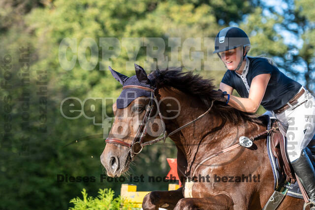RFV Dinslaken-Hiesfeld (Herbstturnier)