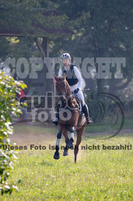 Late-Entry-Vielseitigkeit Gahlen (18.07.2020)