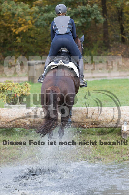 IGV Lehrgang der Sieger der Cups mit Frank Ostholt