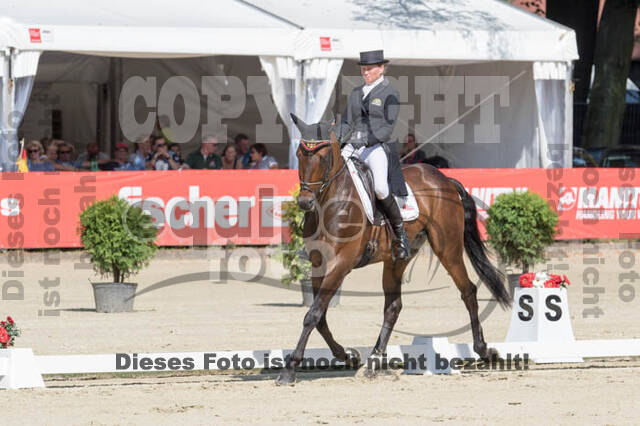 FEI European Championship Eventing 2017