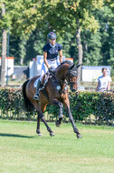 Kronenberg - De Peelbergen (August 2020)