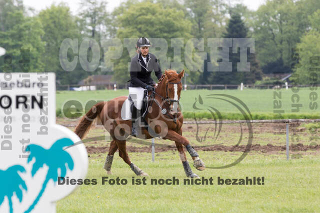 Vielseitigkeitsturnier RuFV Rheurdt