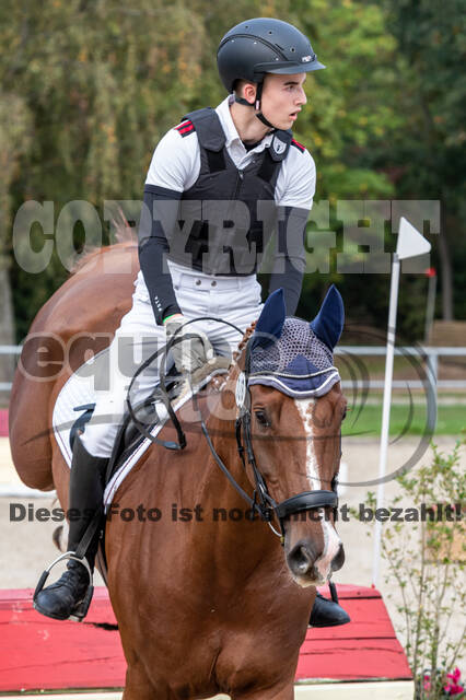 Goldene Schärpe 2020 - Pferde