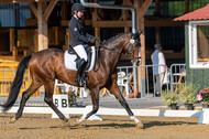 Westerstede Horse Trials 2021