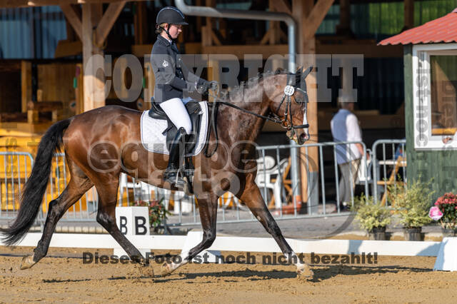 Westerstede Horse Trials 2021