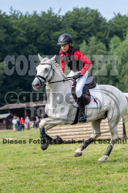 Goldene Schärpe 2021 - Ponys