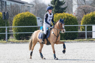 Eventing Langenfeld 2018