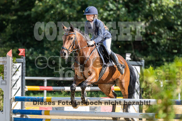 RFV Dinslaken-Hiesfeld (Herbstturnier)